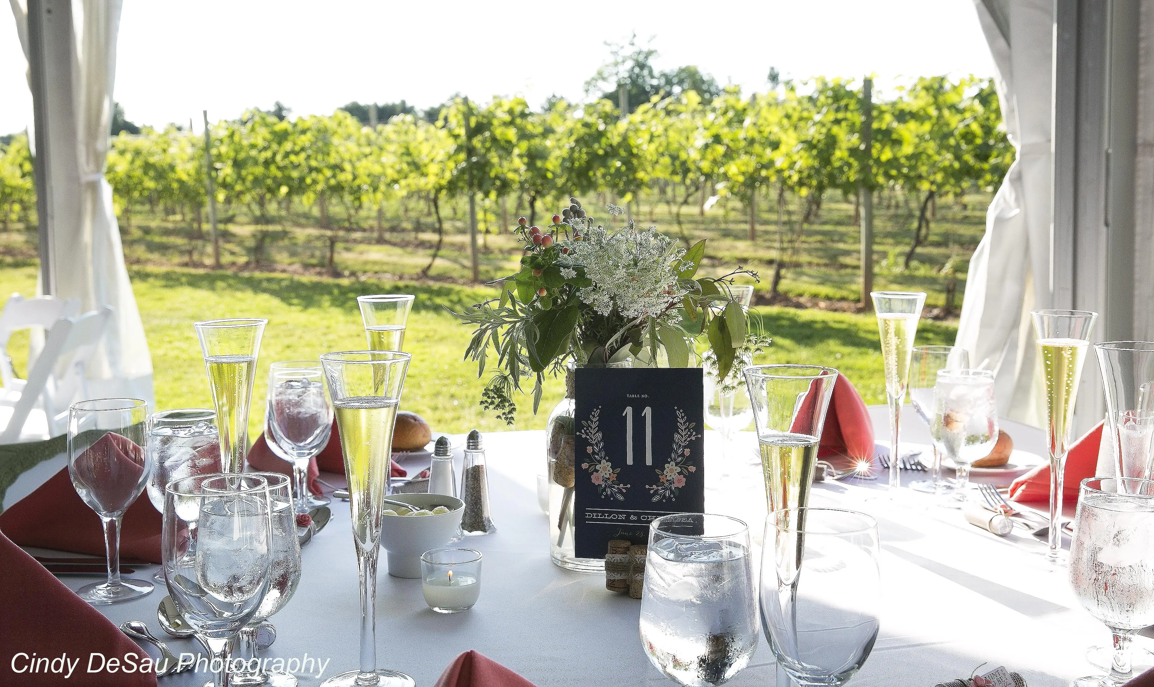 Bucks County, PA wedding — real event photographed by Accent Event Group